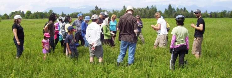Permaculture tour of the Garden City Lands, Richmond, B.C., on June 12, 2011, led by Michael Wolfe and Bruno Verner.